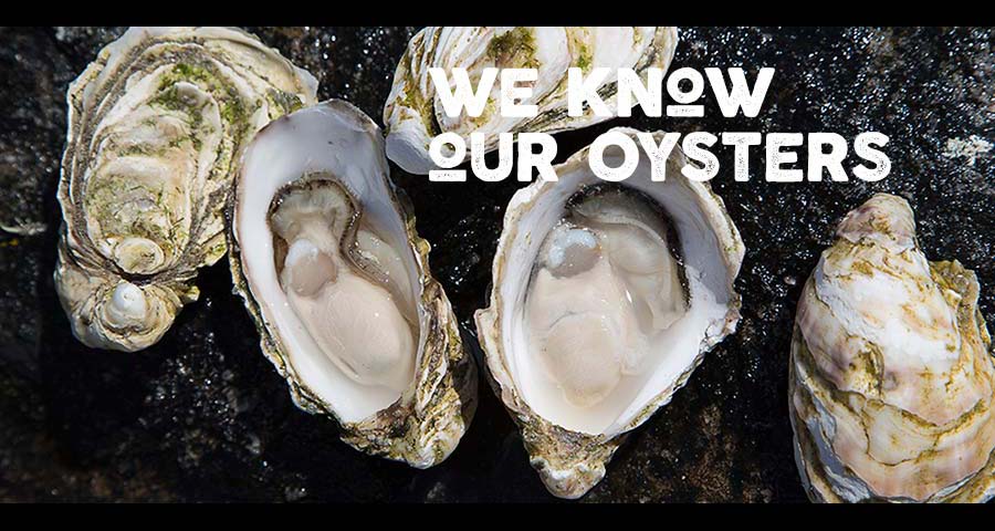 Isle of Barra Oysters